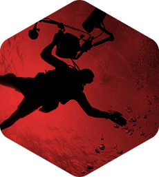 网页短信轰炸机